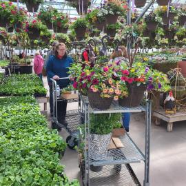 Woman shopping in Diane's Greenhouse